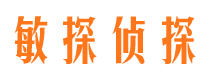 镇雄侦探